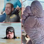 Ross Edgley Great Britain swim