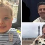 preston-davey-court-hearing-case-update